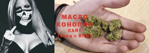 мдпв Каменногорск