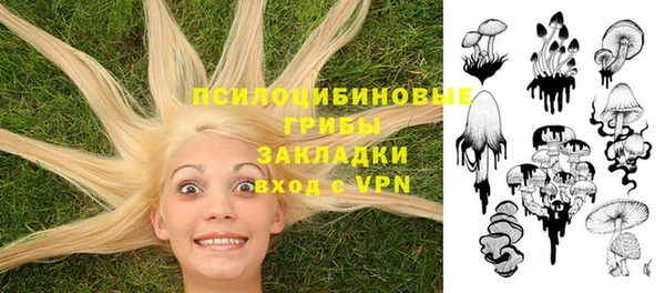 мдпв Каменногорск