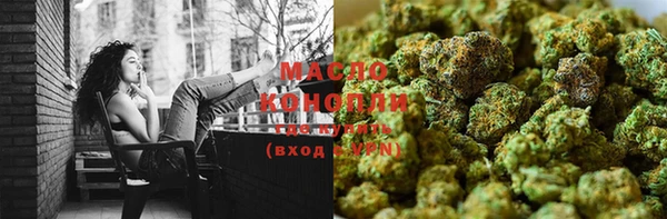 мдпв Каменногорск