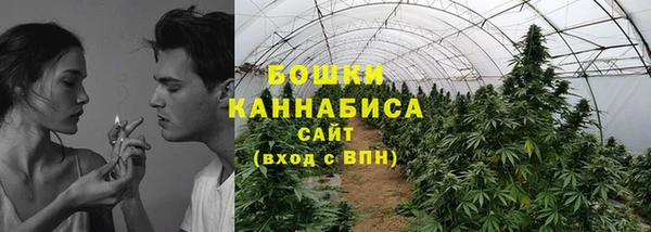 мдпв Каменногорск